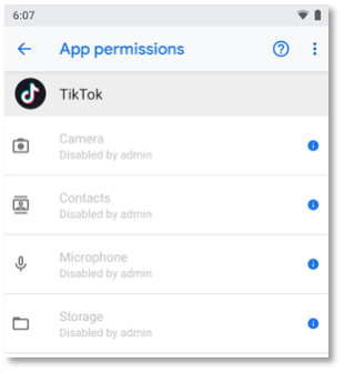 Android Application Grant Permissions including Special App Accesses by Mitigating Damage