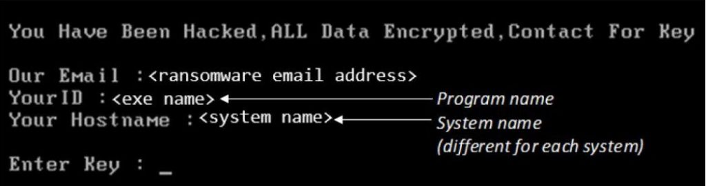 FBI Identified Loopholes in Mamba Ransomware Disk Crypto!