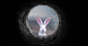 New-Rabbit-Ransomware-Associated-to-FIN8-Hacking-Group-featured-image